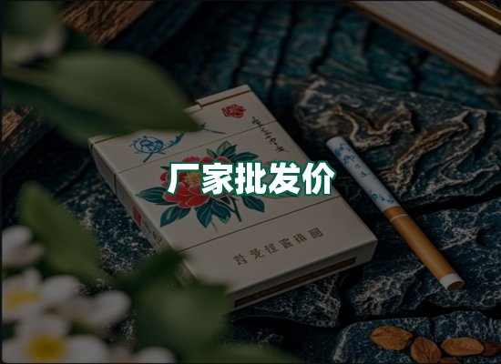 核心优势
